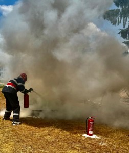 concursurile profesionale ale SPSU (26)
