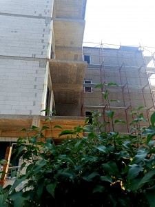 controlalelor efectuate (1)