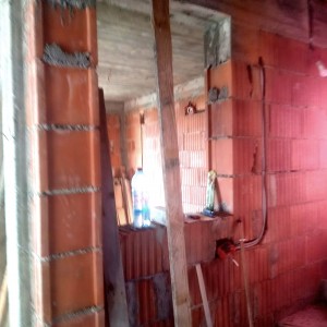 controlalelor efectuate (2)