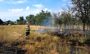 incendii-de-vegetație-uscată-arges-1