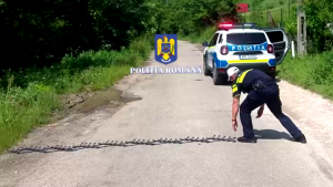 oprirea în trafic a unei șoferițe (1)