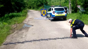 oprirea în trafic a unei șoferițe (2)