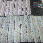 percheziitii arges (10)