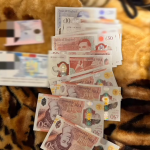 percheziitii arges (9)