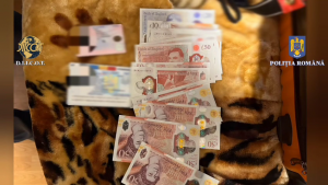 percheziitii arges (9)