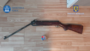 perchezitii arme (4)