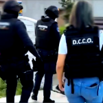 perchezitii spalare bani (5)