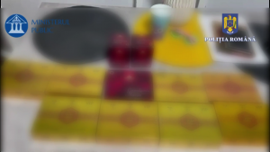 percheziții în Pitești, Ștefănești, Bradu și Suseni (2)