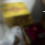 percheziții în Pitești, Ștefănești, Bradu și Suseni (4)