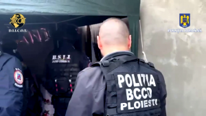 trafic de persoane și proxenetism (6)