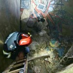 ,,ziua animalelor” (1)