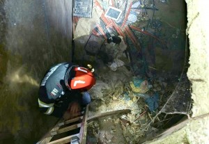 ,,ziua animalelor” (1)