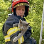 ,,ziua animalelor” (2)