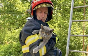 ,,ziua animalelor” (2)