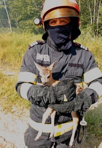 ,,ziua animalelor” (3)