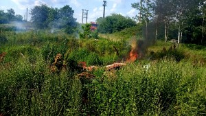 ,,ziua animalelor” (4)