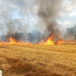 023b3d7d-32ea-4089-98b7-7affdfcdbd21