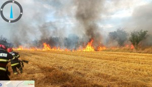 023b3d7d-32ea-4089-98b7-7affdfcdbd21