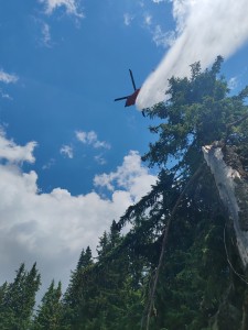 2a49732d-5619-4acc-a837-b63c51a256b3