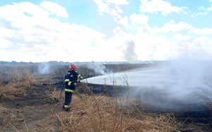 Incendii de vegetație uscată și mărăciniș (1)