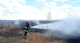 Incendii de vegetație uscată și mărăciniș (1)