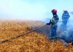 Incendiu lan de grâu - Sudeni Arges (1)