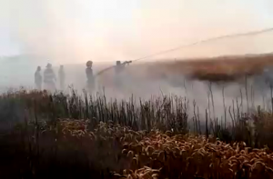 Incendiu vegetație uscată A1, km 107