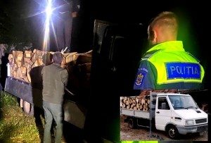 Lemn transportat ilegal