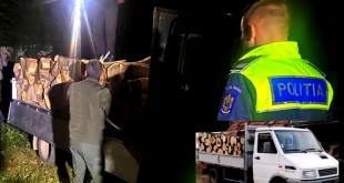 Lemn transportat ilegal