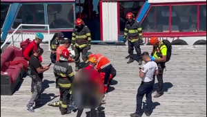 Motociclist atacat de urs (Transfăgărășan) (3)