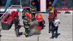 Motociclist atacat de urs (Transfăgărășan) (4)