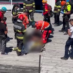 Motociclist atacat de urs (Transfăgărășan) (5)
