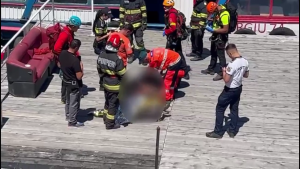 Motociclist atacat de urs (Transfăgărășan) (5)