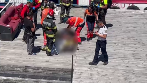 Motociclist atacat de urs (Transfăgărășan) (6)