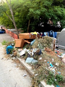 Poliția Locală Pitești (1)