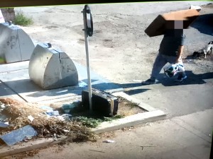 Poliția Locală Pitești (2)