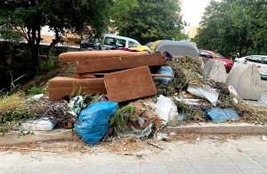 Poliția Locală Pitești (3)