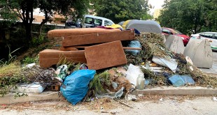 Poliția Locală Pitești (3)