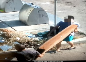 Poliția Locală Pitești (4)