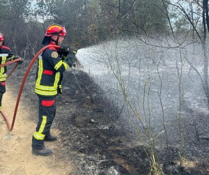 Pompierii români (4)