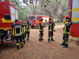 Pompierii români în Franța (20)