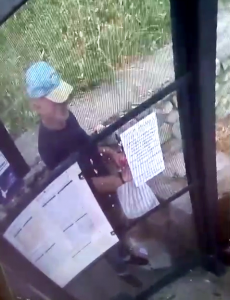 cautat de politia locala pitesti (1)