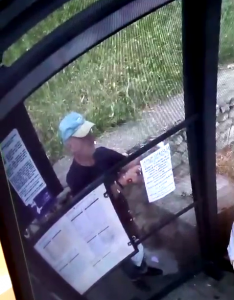 cautat de politia locala pitesti (2)