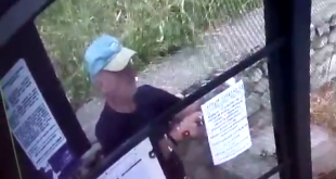 cautat de politia locala pitesti (2)