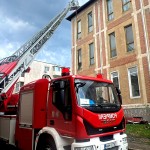 cod portocaliu de vijelie (2)