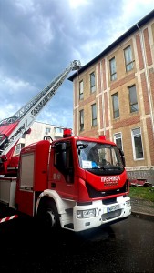 cod portocaliu de vijelie (2)