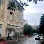 cod portocaliu de vijelie (5)