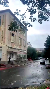 cod portocaliu de vijelie (5)