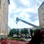 cod portocaliu de vijelie (6)