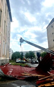 cod portocaliu de vijelie (6)